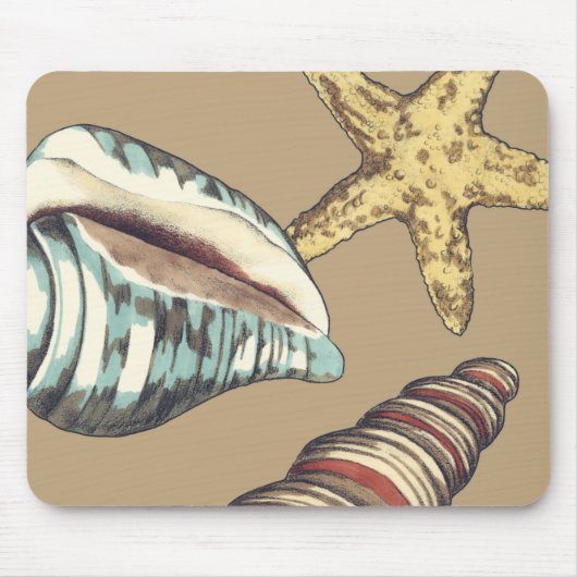 Shell Trio op Khaki Muismat (Voorkant)