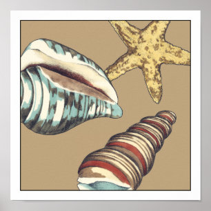 Shell Trio op Khaki Poster