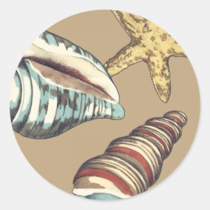 Shell Trio op Khaki Ronde Sticker