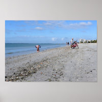 Shelling at Low Tide, Fort Myers Beach, Florida