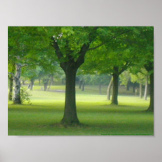 Shellis Canvas Print, niet ingericht "het Magische Poster