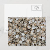 Shells achtergrond briefkaart (Voorkant / Achterkant)