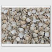 Shells achtergrond cadeaupapier (Vlak)