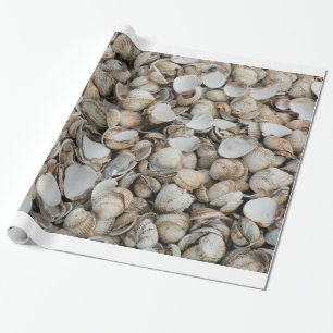 Shells achtergrond cadeaupapier