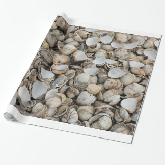 Shells achtergrond cadeaupapier
