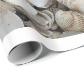 Shells achtergrond cadeaupapier (Rol Hoek)