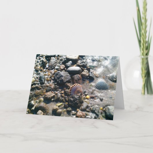 Shells op het Strand Kaart (Voorkant)