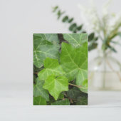 Shell's Pics Briefkaart (Staand voorkant)