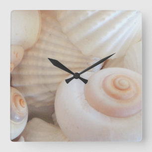 Shells van het zee, Klok van het Strand van de