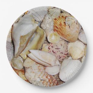 Shells van het zee papieren bordje