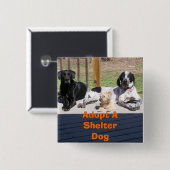 Shelter Dogs Button (Voorkant /achterkant)