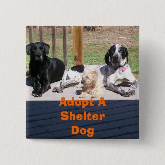 Shelter Dogs Button (Voorkant)
