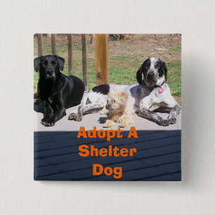 Shelter Dogs Button