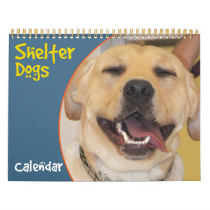 Shelter Dogs Calendar Kalender