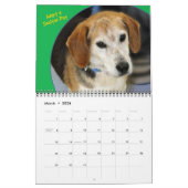 Shelter Dogs Calendar Kalender (Mar 2026)