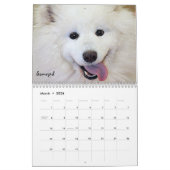 Shelter Dogs Calendar Kalender (Mar 2026)