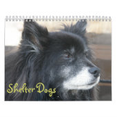 Shelter Dogs Calendar Kalender (Hoes)