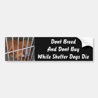 Shelter Dogs Die Bumpersticker