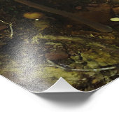 Shelter Foto Afdruk (Hoek)