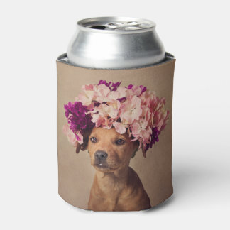 Shelter Huisdieren Project - Lady Blikjeskoeler