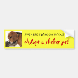Shelter Pet, Shelter Dog, Shelter Cat Bumpersticker
