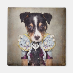 Shelter Pets Project - Loki Magneet