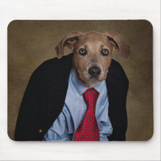 Shelter Pets Project - Mr Burns Muismat