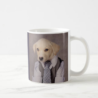 Shelter Pets Project - Paxton Koffiemok