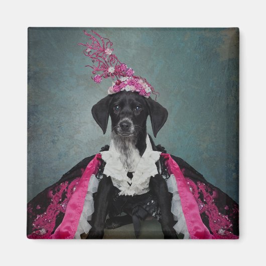 Shelter Pets Project - Pepper Magneet (Voorkant)