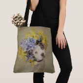 Shelter Pets Project - Rascal Draagtas (Dichtbij)