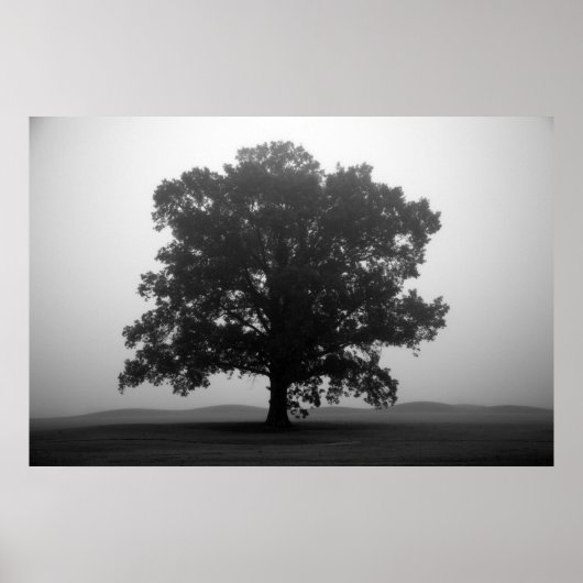 Shelter Poster (Voorkant)