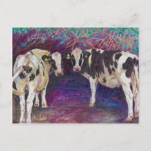 Sheltering cows 2011 briefkaart
