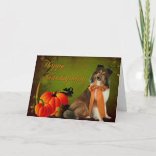 Sheltie 2 Thanksgiving Card Feestdagen Kaart
