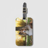 Sheltie Acryl Bagagelabel (Voorkant (verticaal))