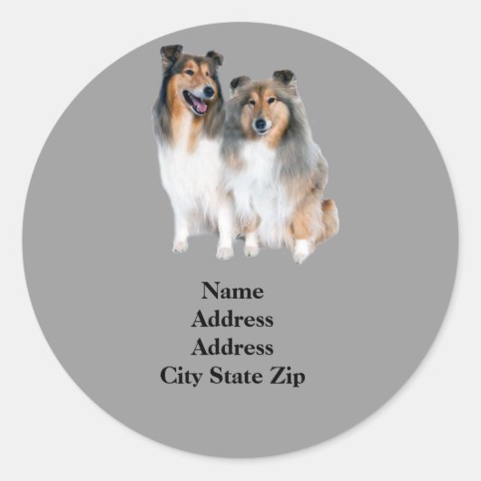 Sheltie adreslabel ronde sticker (Voorkant)