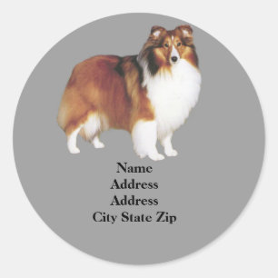 Sheltie adreslabel ronde sticker