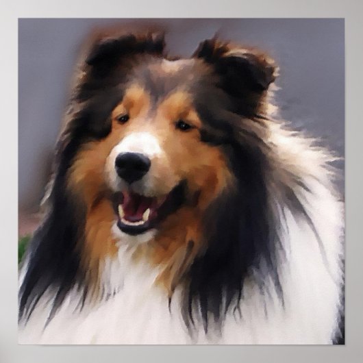 Sheltie Art Print (Voorkant)