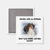 Sheltie Attitude Magnet Magneet (Voorkant / Achterkant)
