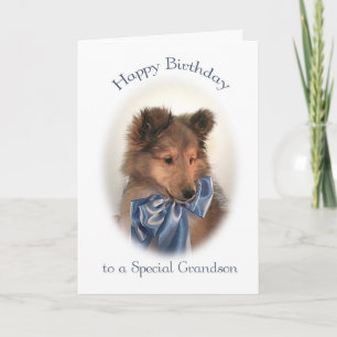 Sheltie Birthday Card voor kleinzoon Kaart