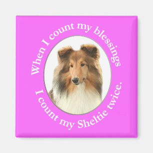 Sheltie Blessing Magnet Magneet