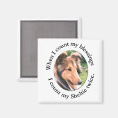 Sheltie Blessing Magnet Magneet (Voorkant / Achterkant)