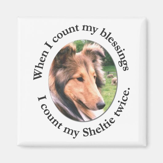 Sheltie Blessing Magnet Magneet (Voorkant)