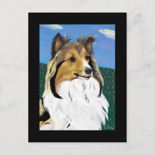 Sheltie briefkaart