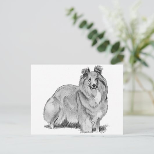 Sheltie Briefkaart (Staand voorkant)