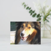 Sheltie Briefkaart (Staand voorkant)