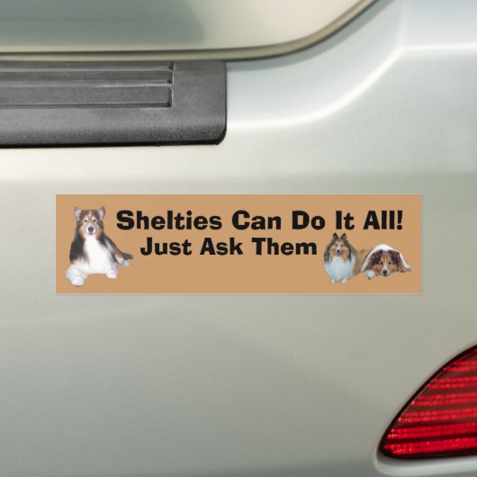 Sheltie Bumpersticker (Op auto)