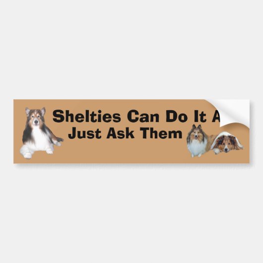 Sheltie Bumpersticker (Voorkant)