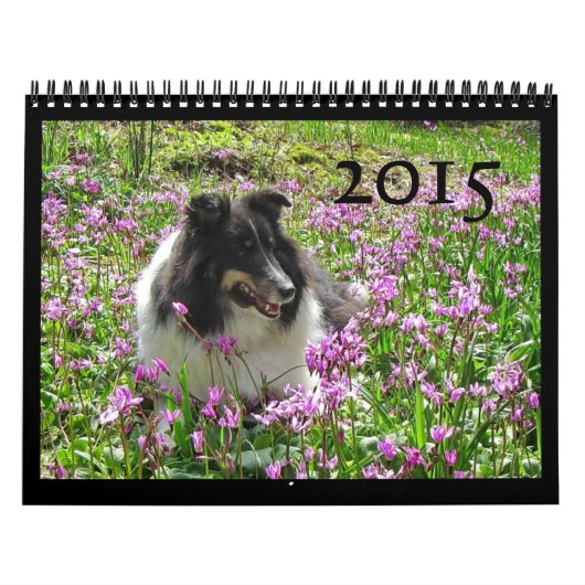 Sheltie Calendar Kalender (Hoes)