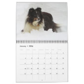 Sheltie Calendar Kalender (Jan 2026)