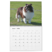 Sheltie Calendar Kalender (Mar 2026)